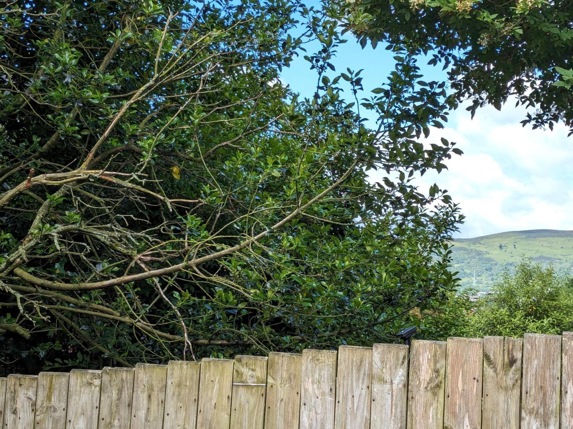 Heart Of Belfast With Private Garden Villa Dış mekan fotoğraf